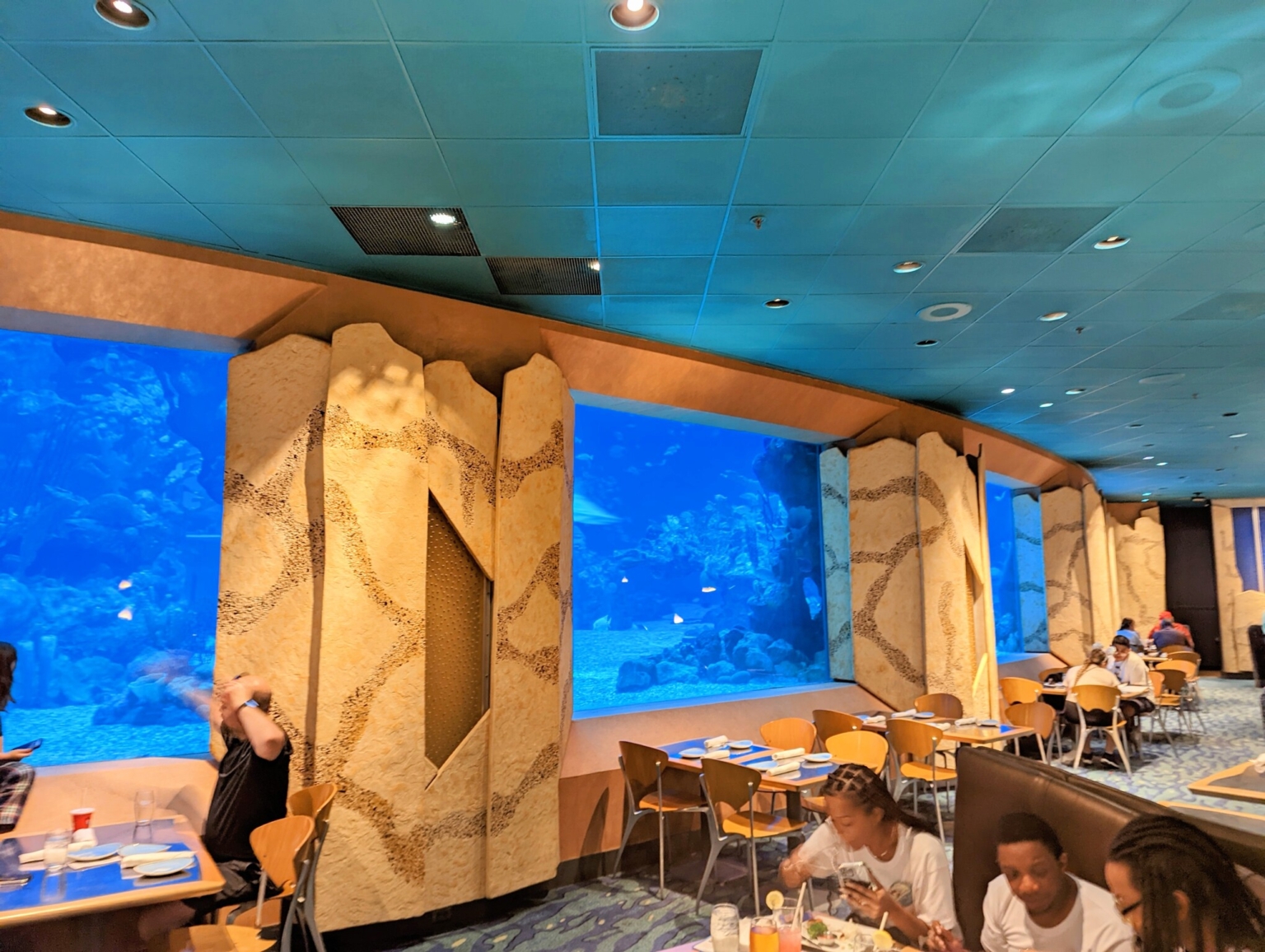 Epcot S Coral Reef Restaurant Review Molly S Travels   PXL 20220829 210524656NIGHT2 1536x1156 