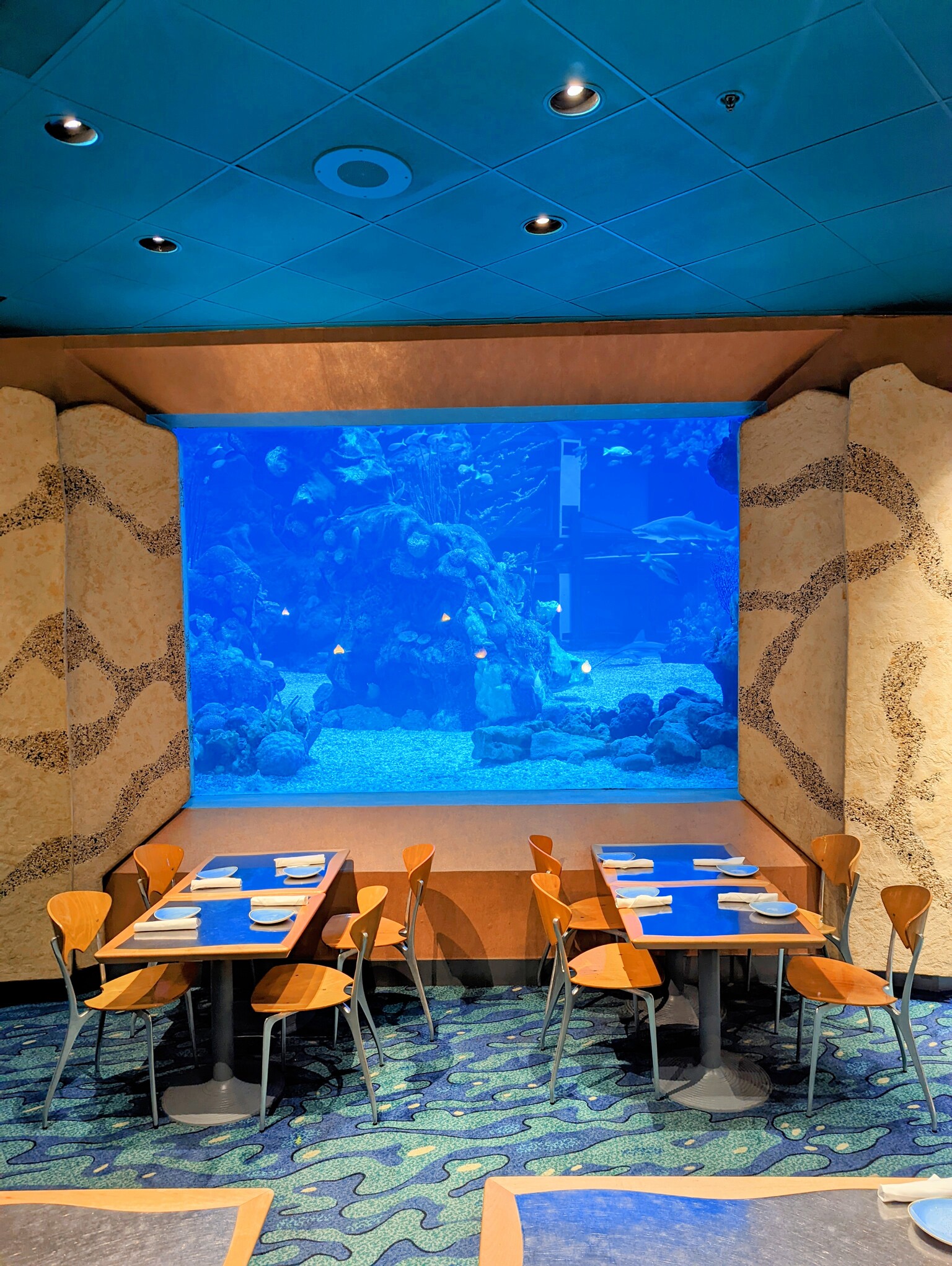 Epcot S Coral Reef Restaurant Review Molly S Travels   PXL 20220829 210547467NIGHT2 