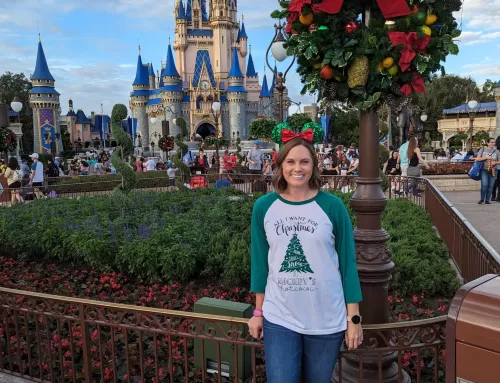 Top Reasons to Visit Walt Disney World Resort During the Holiday Season 